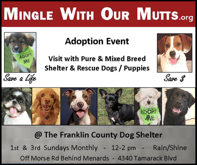 Mingle With Our Mutts